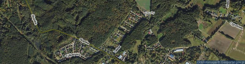 Zdjęcie satelitarne Dębowa ul.